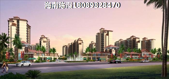 海南保亭的房子往后会生纸吗？